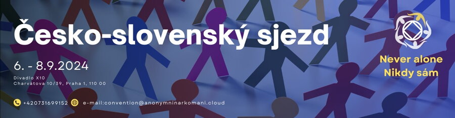 Česko-Slovenský sjezd NA 2024